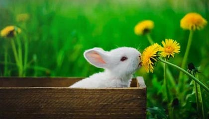 B体育官方：用科技点亮你的运动之路